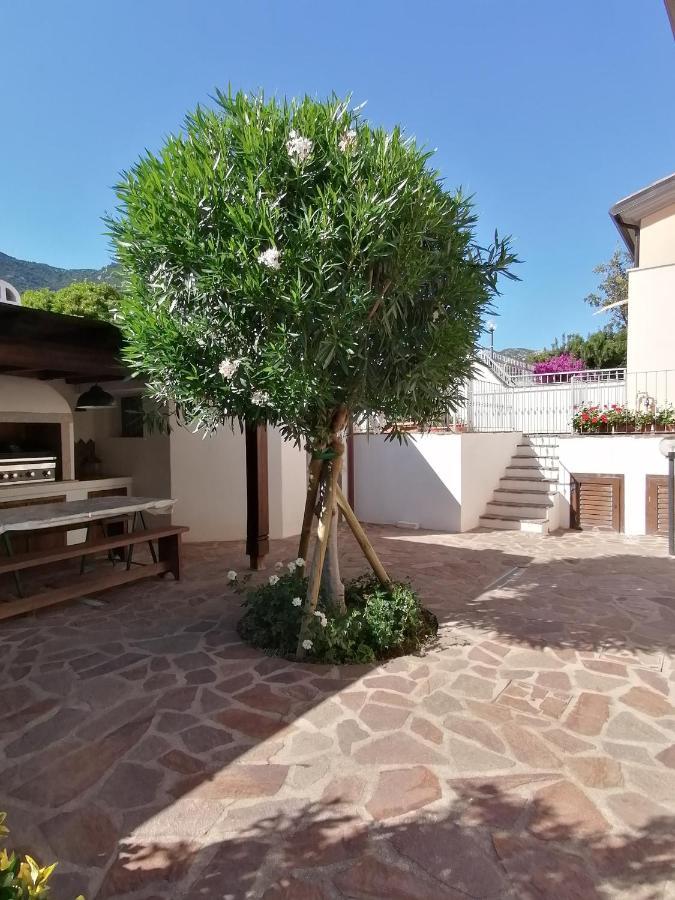 Casa Vacanze Villa Rosa Cala Gonone Exterior photo